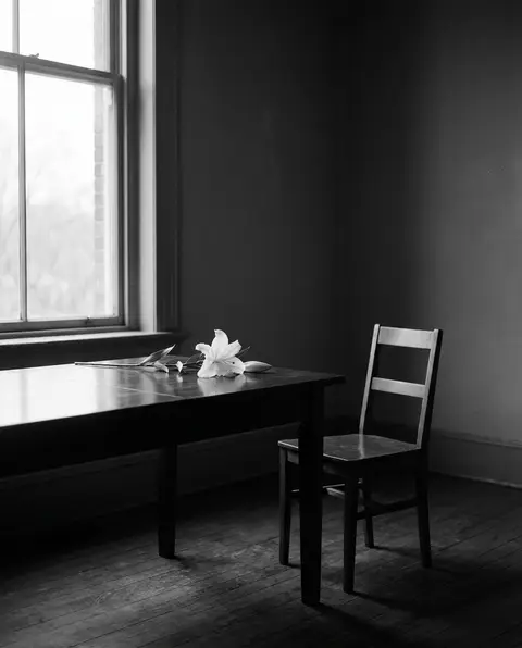 A single white lily beside an empty chair in soft, somber light